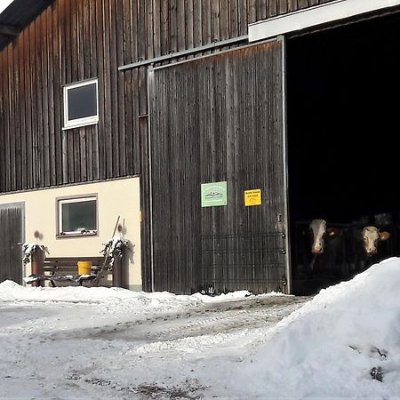 Ferienhaus Heerlichkeit Löffingen Esterno foto